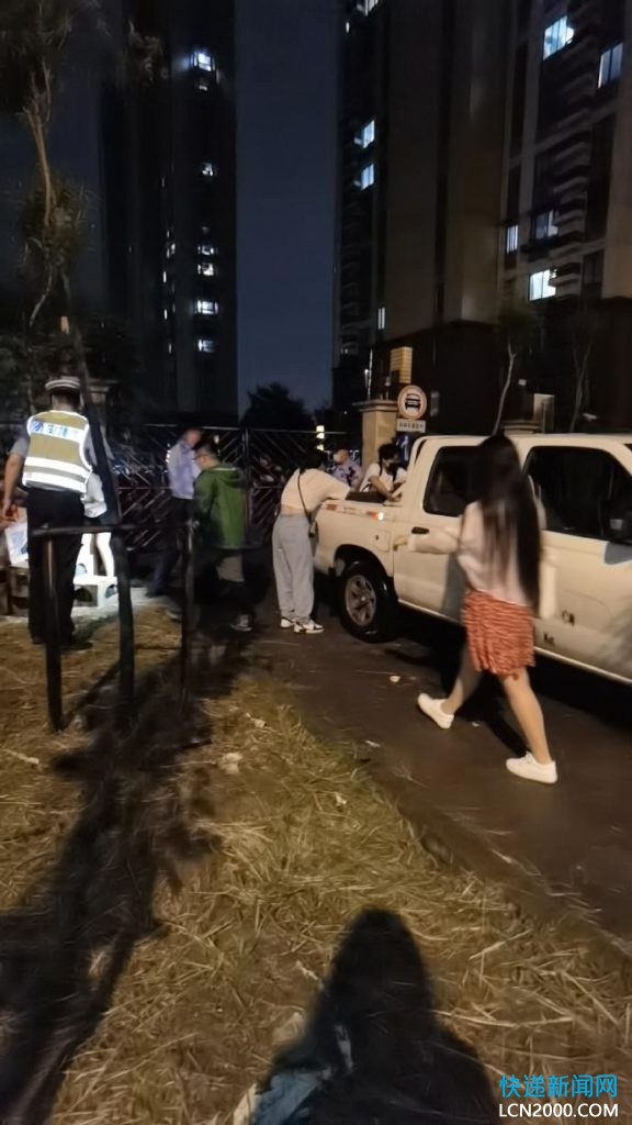 上海百余宠物盲盒因中通快递不敢派送被遗弃路边 警方已介入