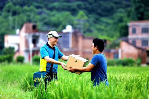 河南省政府印发文：今年年底前，实现农村寄递物流驻点率达到75%